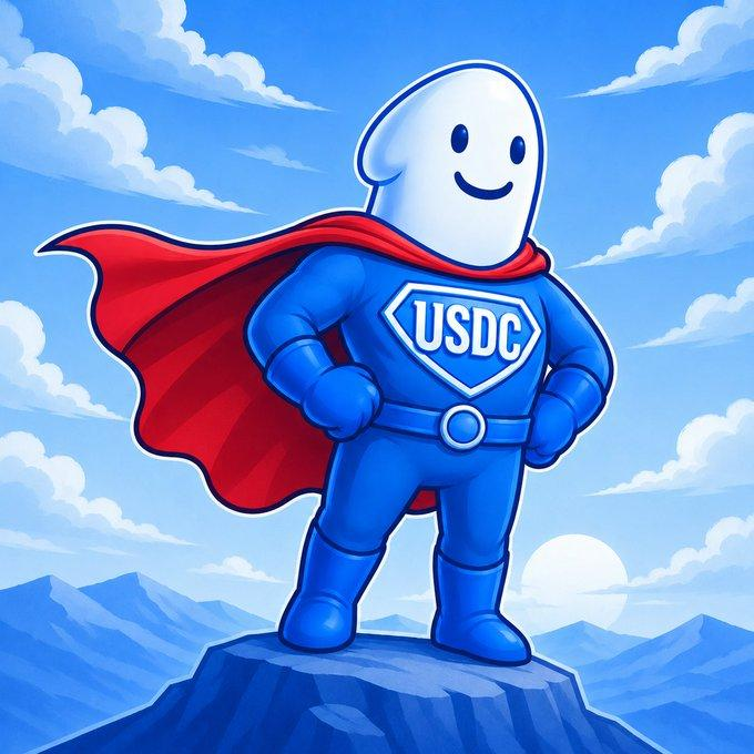 USDC Character